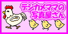 �޼޶��ς̎ʐ^������