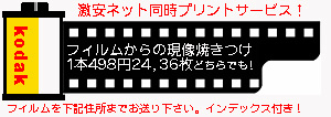 �f�W�J���v�����g�̃f�W�^���X�^�C��