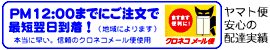 �f�W�J���v�����g�̃f�W�^���X�^�C���@���[����