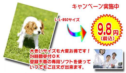 �傫�ȃT�C�Y����ς����ł�