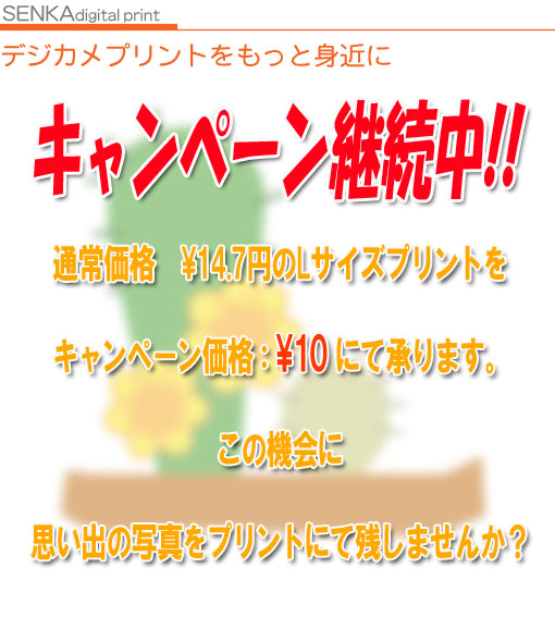 �Ë��̂Ȃ��f�W�J���v�����g