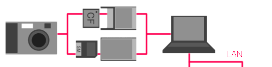 Fig.5